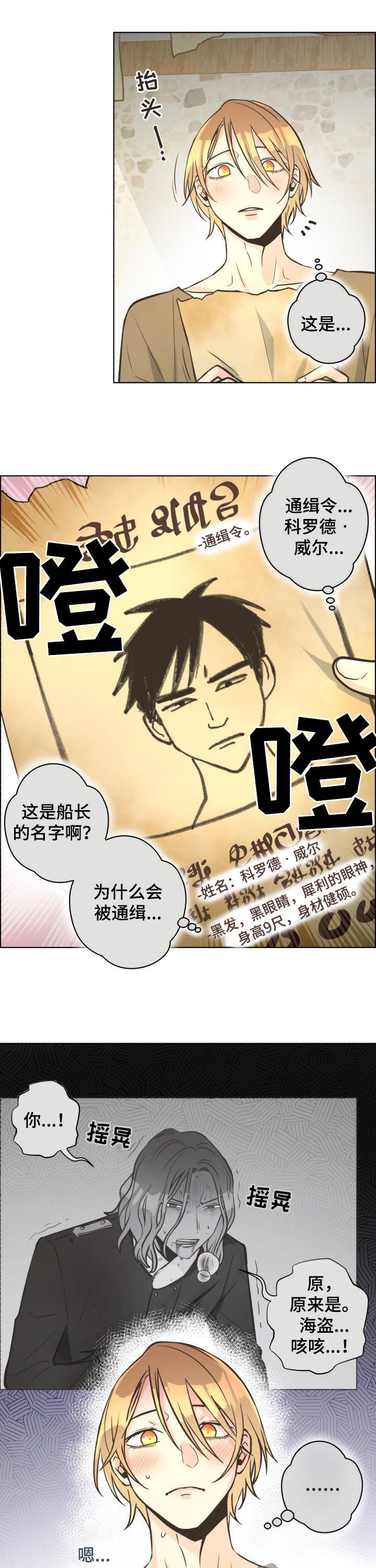 比索岛漫画免费阅读下漫画,第29章：通缉令3图
