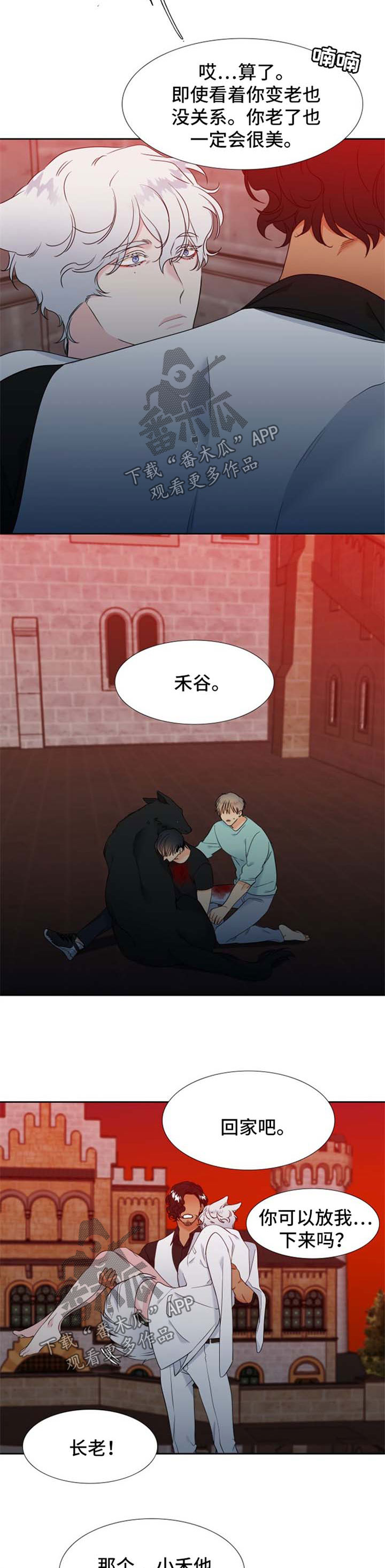 狼的香气全集漫画,第187章：【第二季】组建一个幸福家庭3图