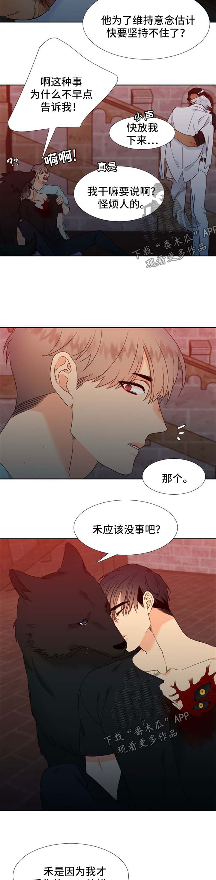 狼的香气全集漫画,第187章：【第二季】组建一个幸福家庭5图