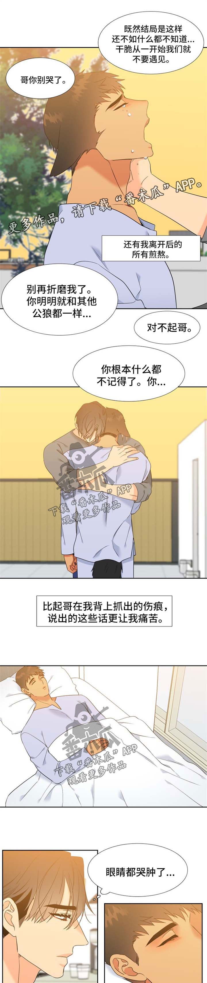 狼的香气漫画免费看漫画,第200章：【第二季】薛贤的记忆4图