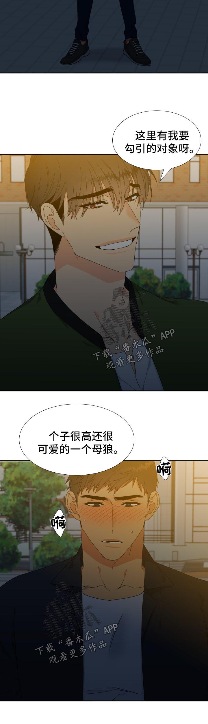 狼的香气在哪里可以免费看漫画,第131章：【第二季】微醺4图