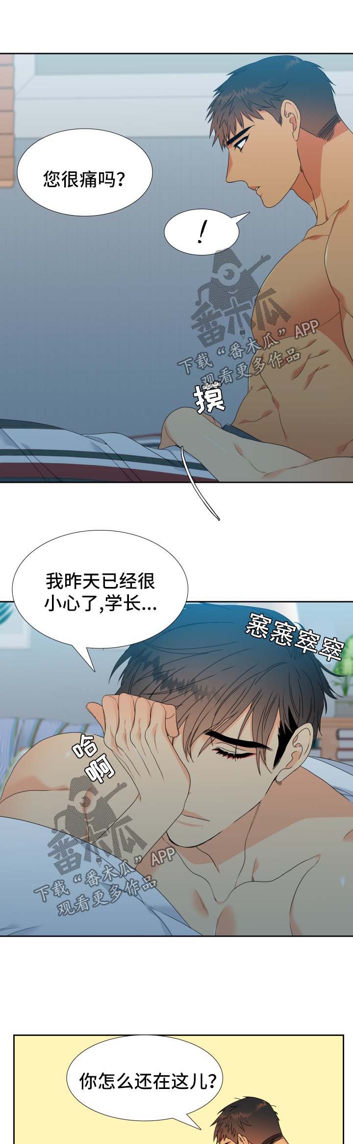 狼的香气漫画全文免费未删减漫画,第125章：【第二季】淘汰2图