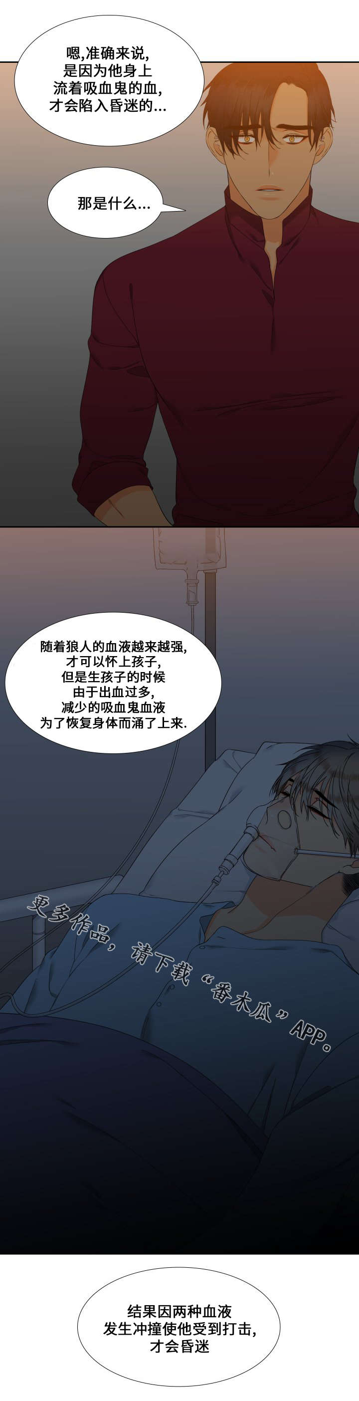 狼的香气全集免费漫画,第89章：昏迷3图