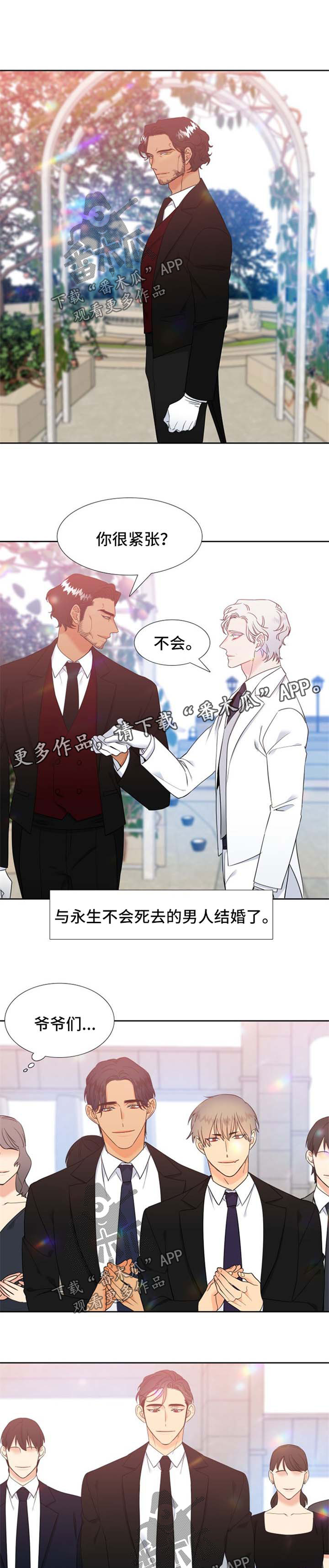 狼的香气怀孕在第几集漫画,第240章：【第二季】他们的婚礼【完结】5图
