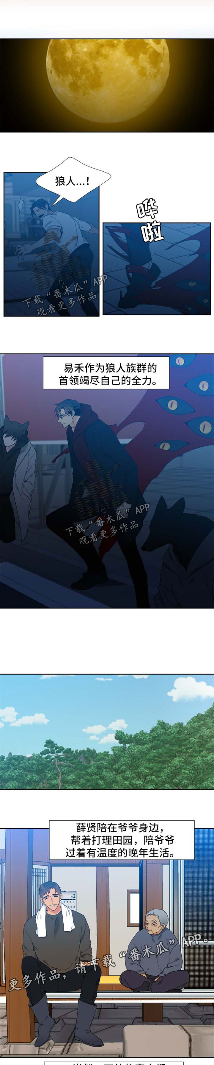 狼的香气怀孕在第几集漫画,第240章：【第二季】他们的婚礼【完结】1图