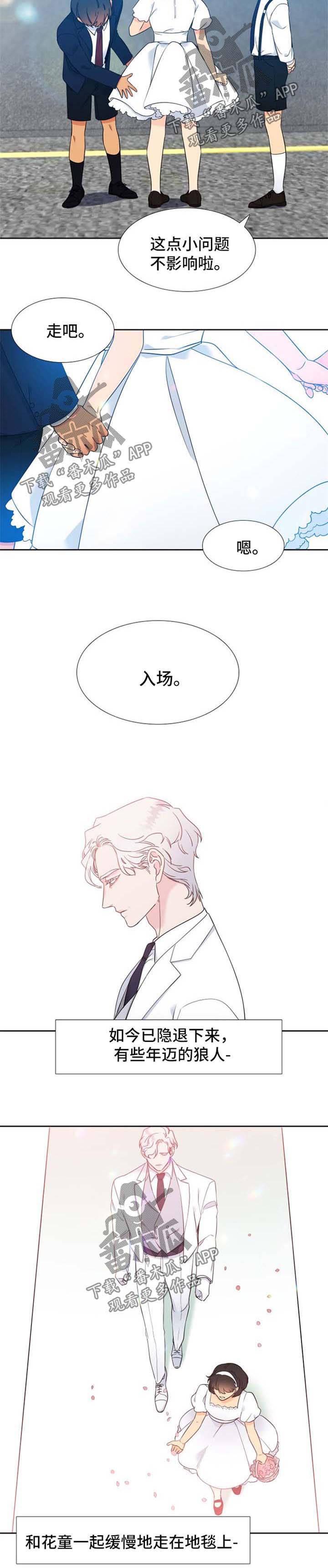 狼的香气怀孕在第几集漫画,第240章：【第二季】他们的婚礼【完结】4图
