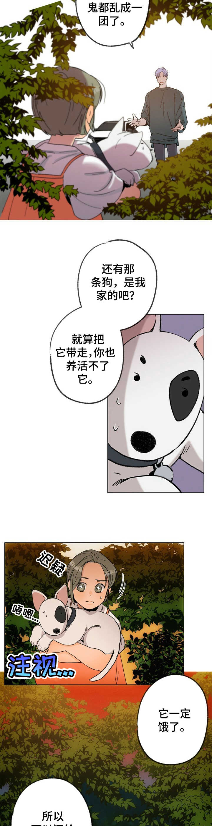 乡野的音乐漫画,第23章：逃跑5图