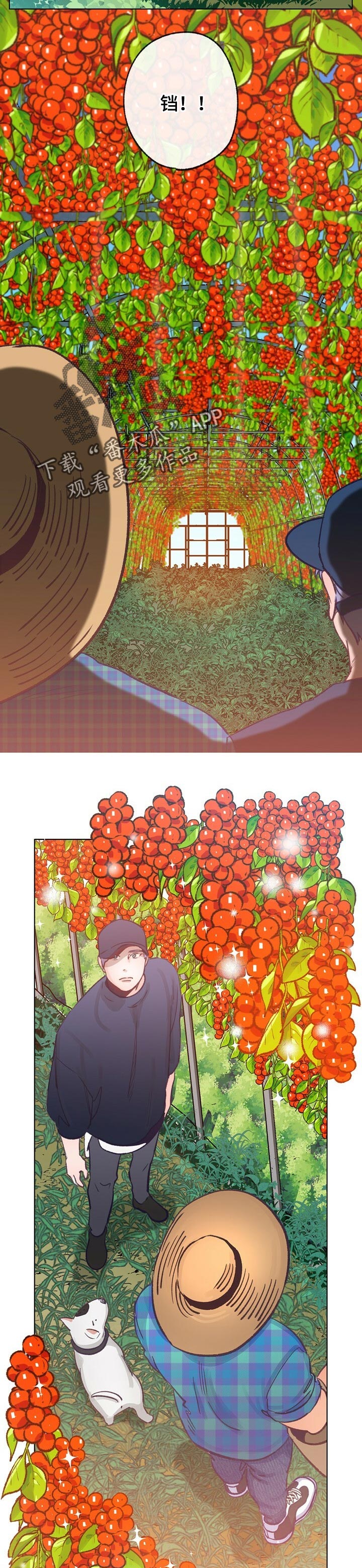漫画乡野旋律漫画,第61章：散步3图