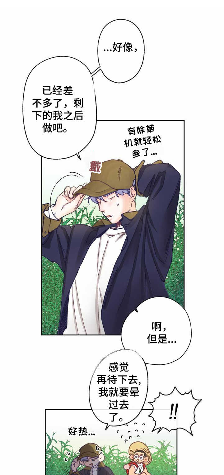 乡野阿妹漫画,第10章：规划1图