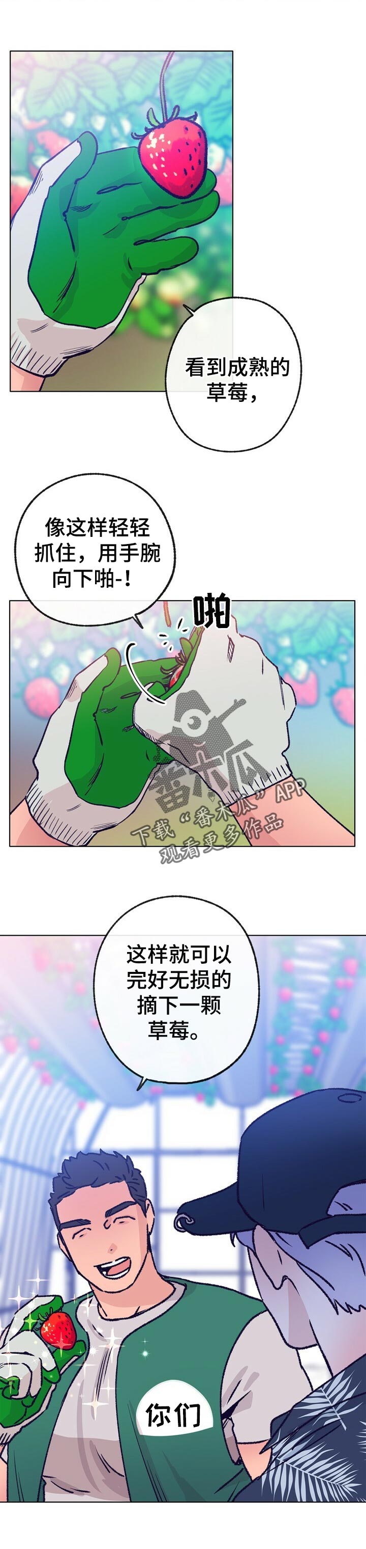 乡野旋律漫画头像漫画,第64章：摘草莓5图
