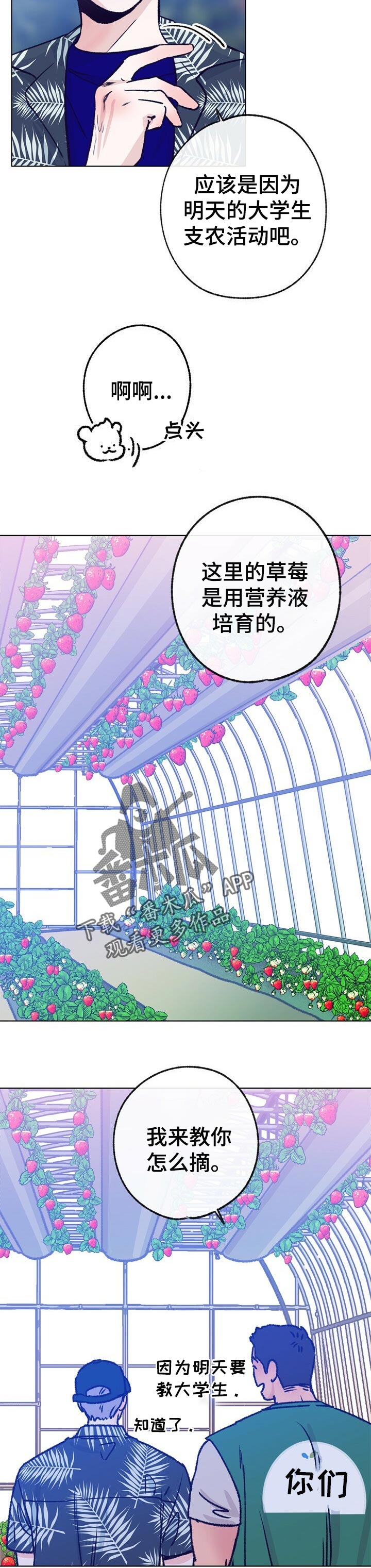 乡野旋律漫画头像漫画,第64章：摘草莓4图