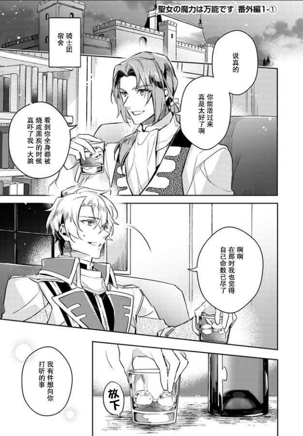 圣女的魔力是万能的第12集漫画,番外1.11图
