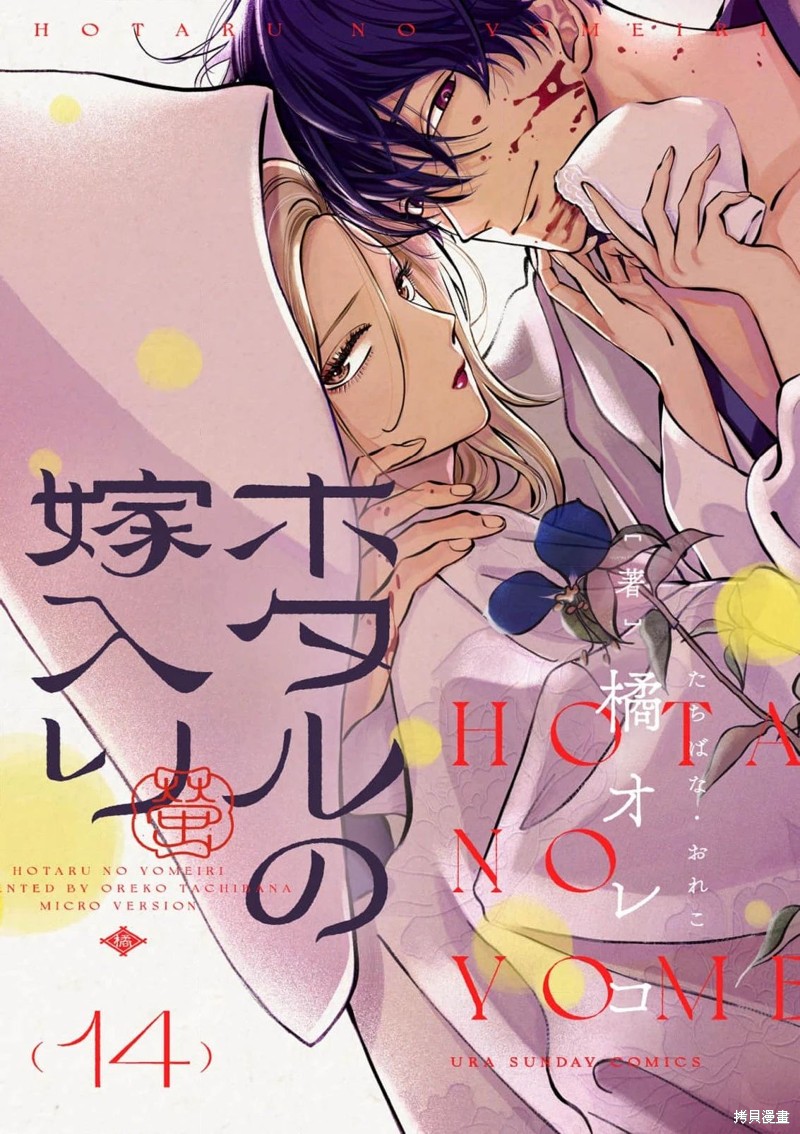 萤火虫之婚的结局漫画,第14话1图