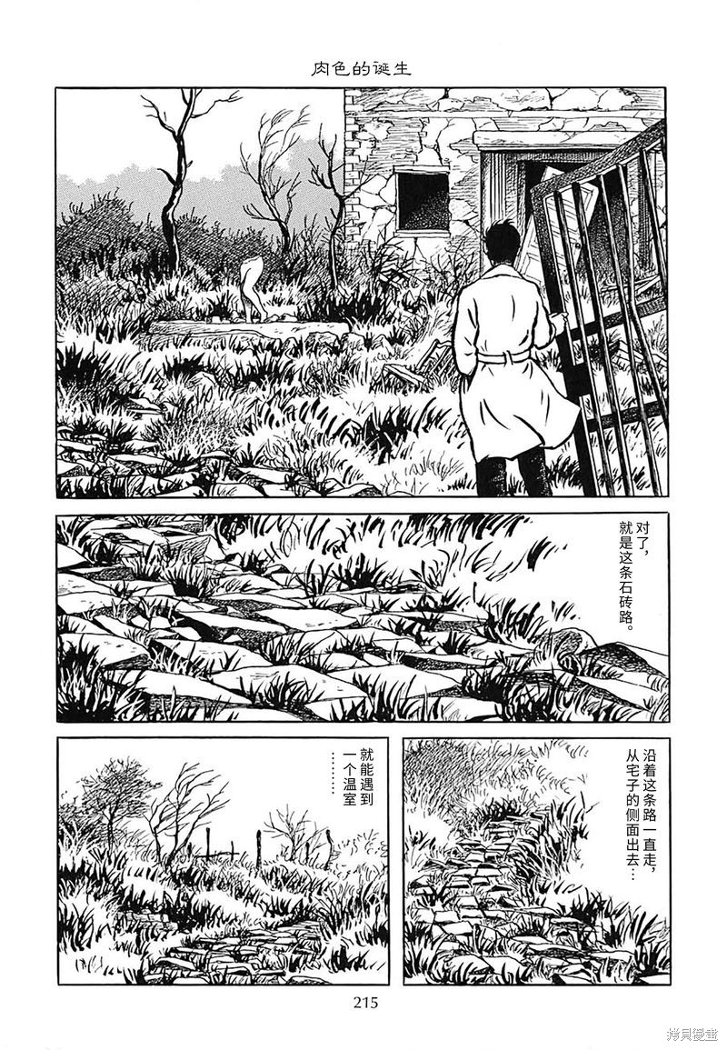 诸星大二郎作品海神纪漫画,肉色的诞生3图