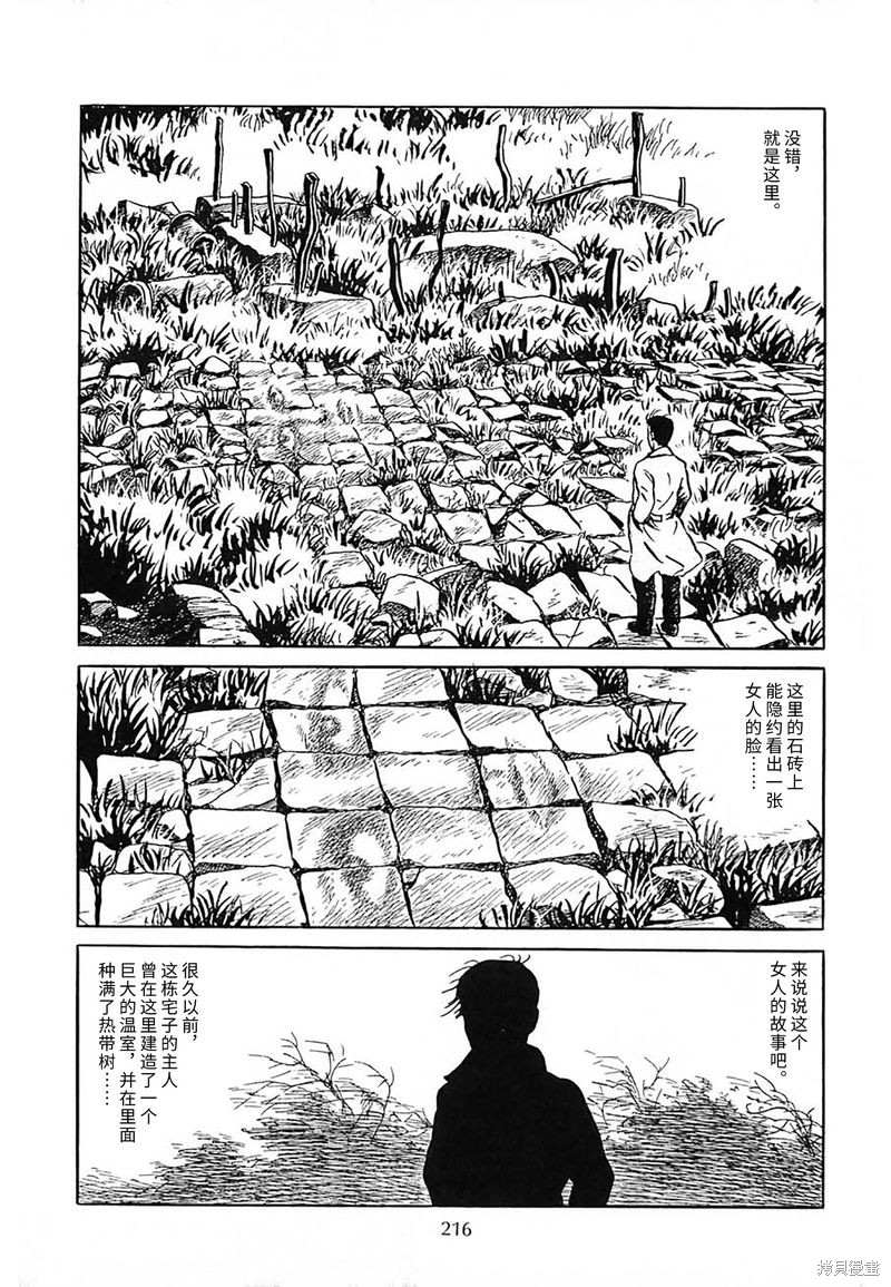 诸星大二郎作品海神纪漫画,肉色的诞生4图