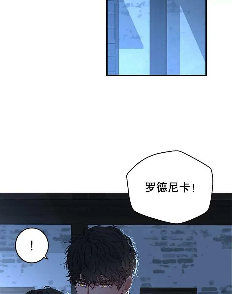 偶然开启女尊游戏动漫漫画,61.罗德尼卡的献身2图