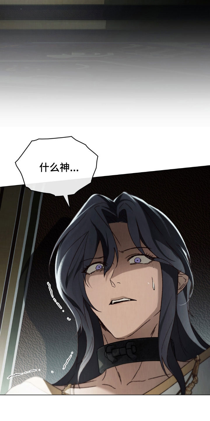 琥珀魅影连衣裙购买漫画,第100话5图