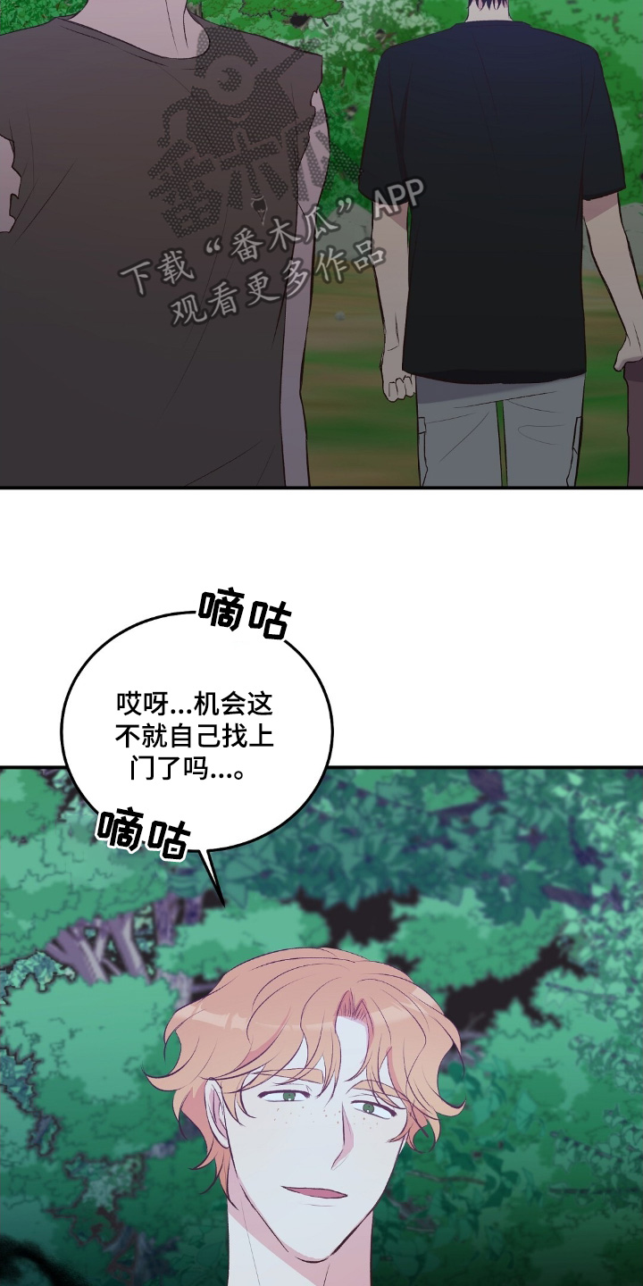 孤岛浪漫求生韩漫作者漫画,第62话5图