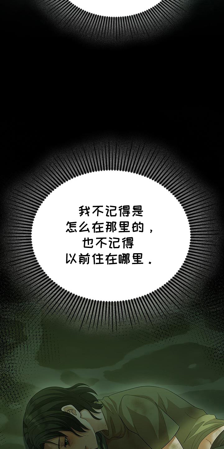 消失的罪证电影在线云播漫画,第65话5图