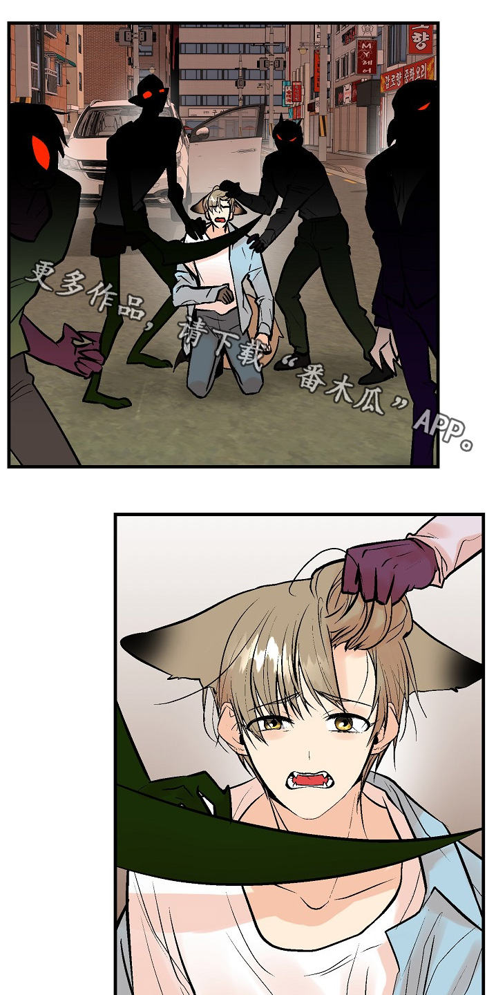 半妖的夜叉姬第一季漫画,第56话1图