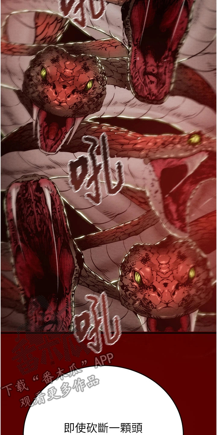 王者征途5个职业怎么搭配pk最猛漫画,第31话2图