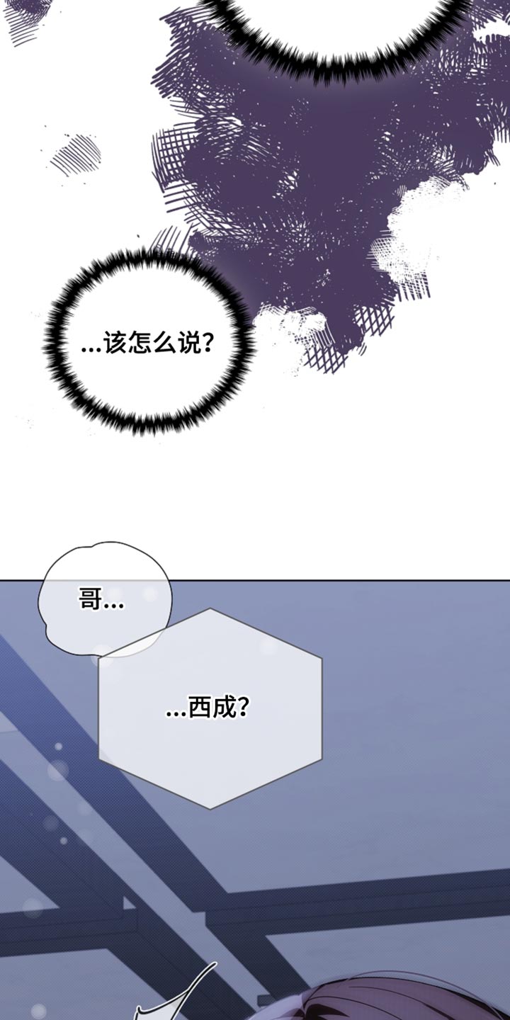 小白狗奇遇记漫画免费阅读软件漫画,第37话3图