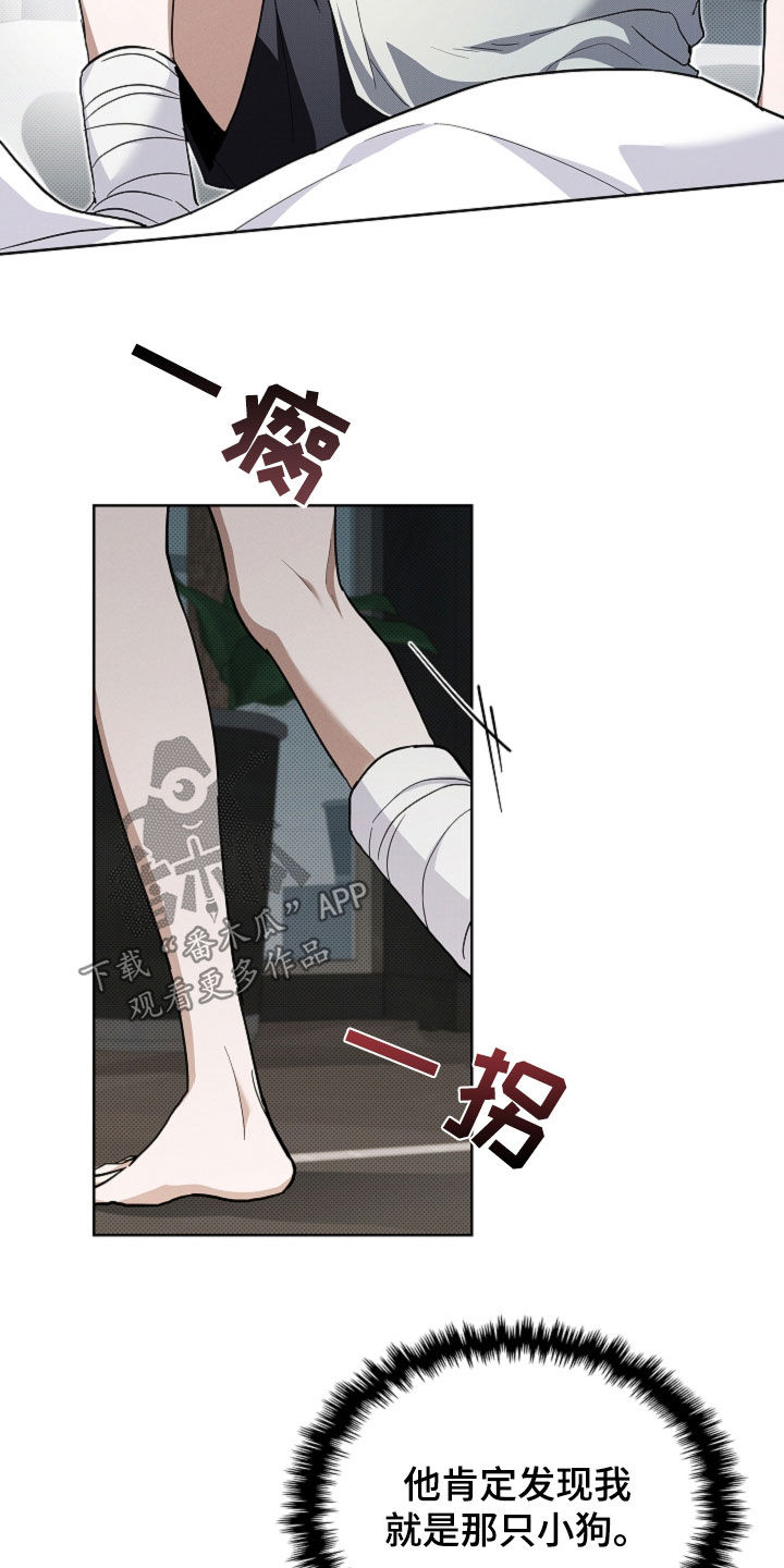 小白狗奇遇记小说叫什么名字漫画,第42话3图