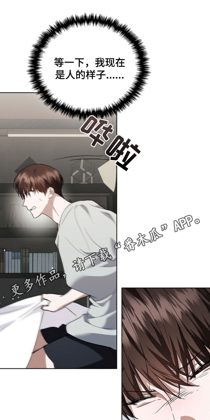 小白狗奇遇记小说叫什么名字漫画,第42话1图