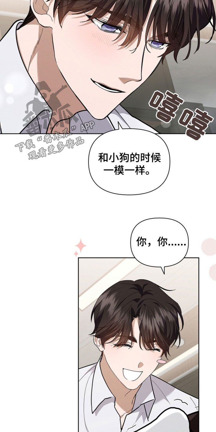 小白狗奇遇记合集漫画,第43话4图