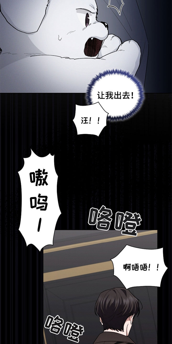 小白狗奇遇记第6章漫画,第36话3图
