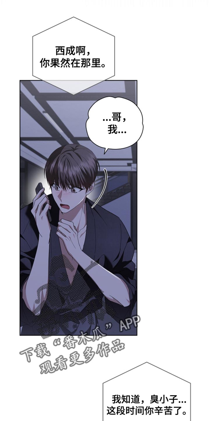 小白狗奇遇记漫画免费阅读软件漫画,第37话5图