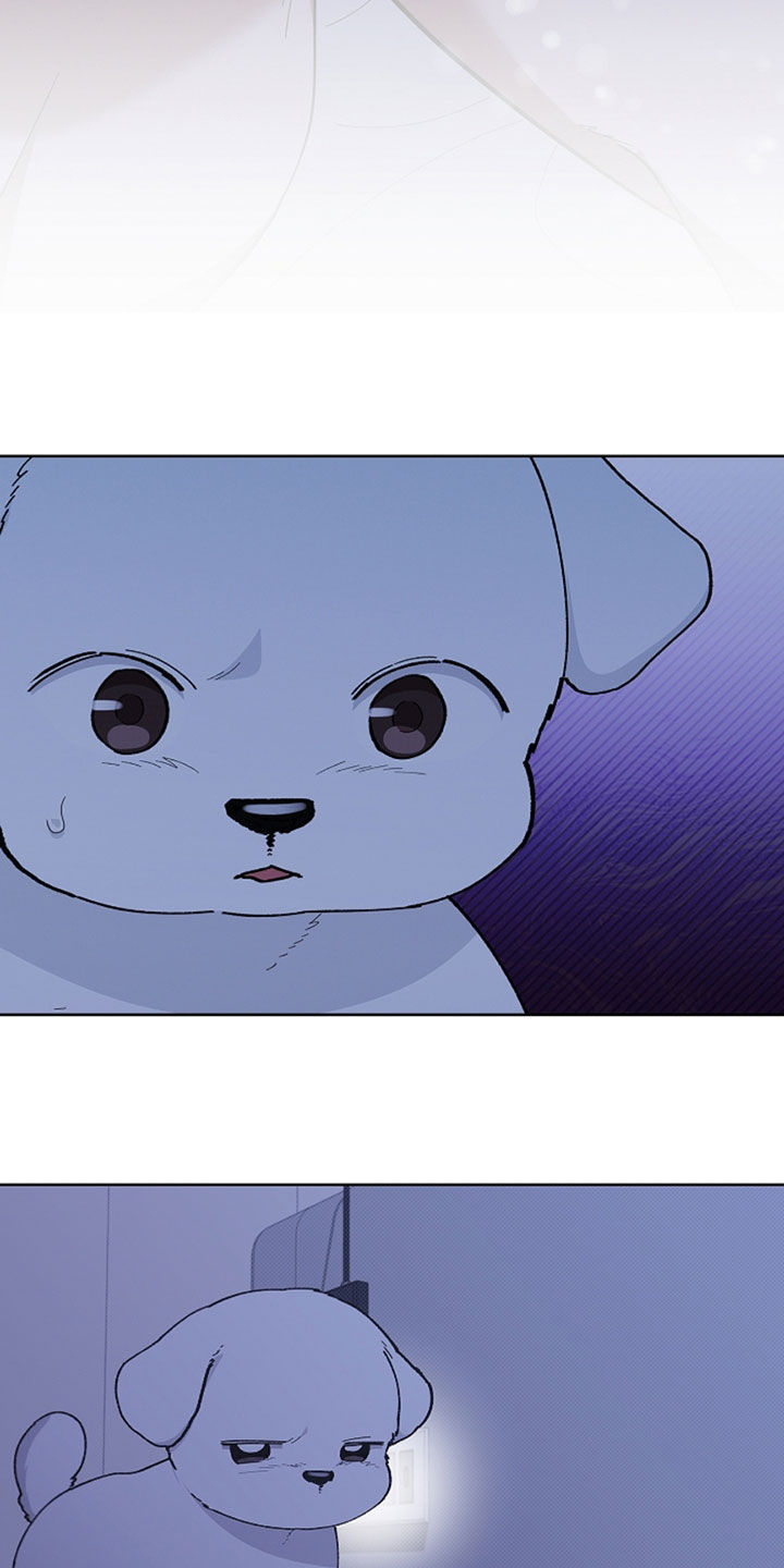 小白狗奇遇记漫画免费阅读全集漫画,第35话4图