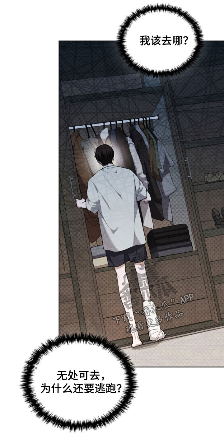 小白狗奇遇记小说叫什么名字漫画,第42话5图