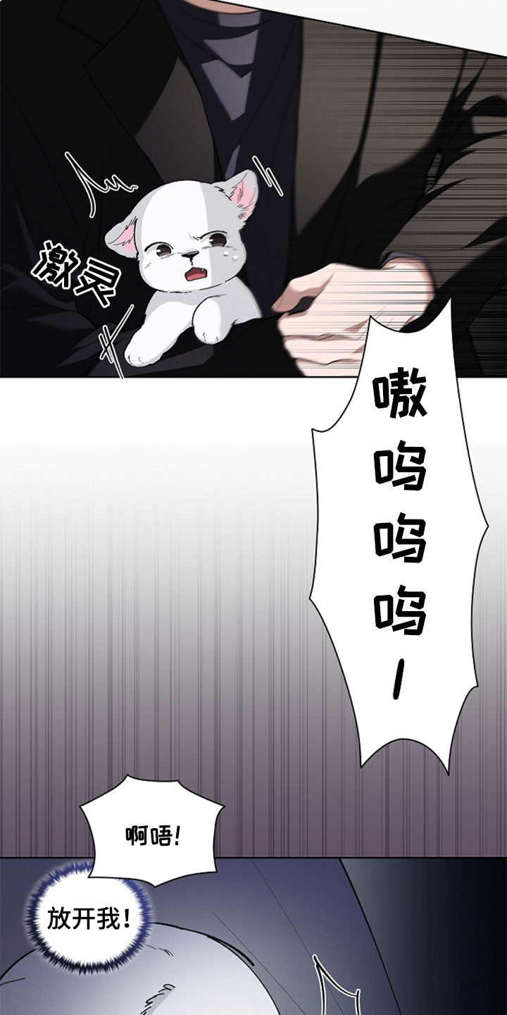 小白狗奇遇记第6章漫画,第36话2图