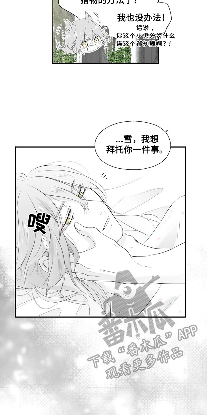 狐狸的夏天全48集免费观看漫画,第15话5图
