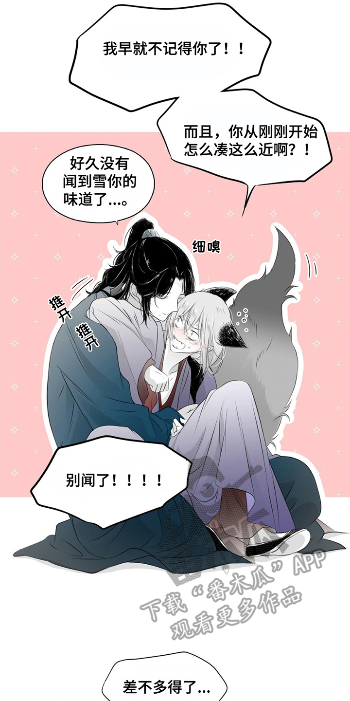 狐狸的夏天第一季免费收看漫画,第13话5图
