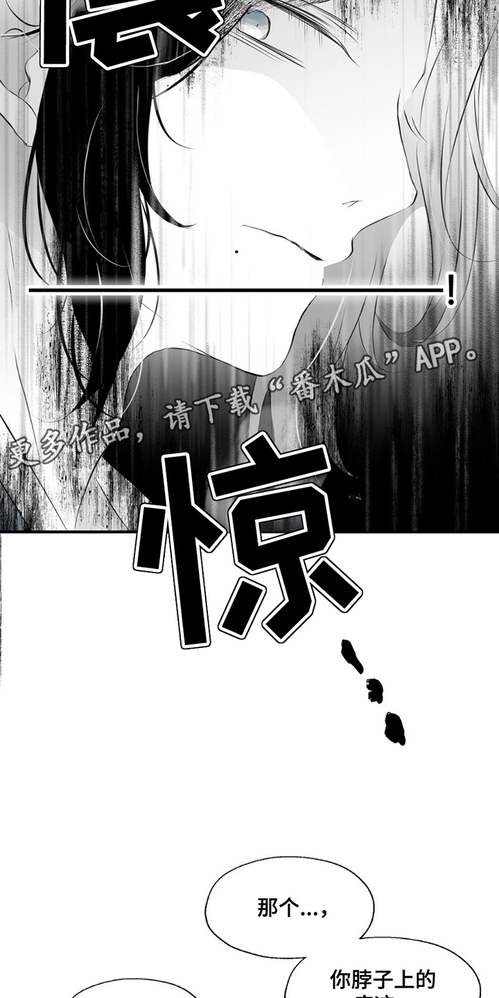 狐狸的春天剧情简介分集漫画,第8话5图