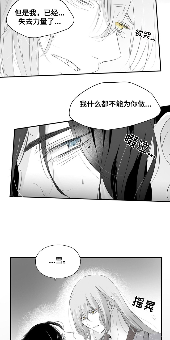 狐狸的夏天二部在线观看免费漫画,第19话4图