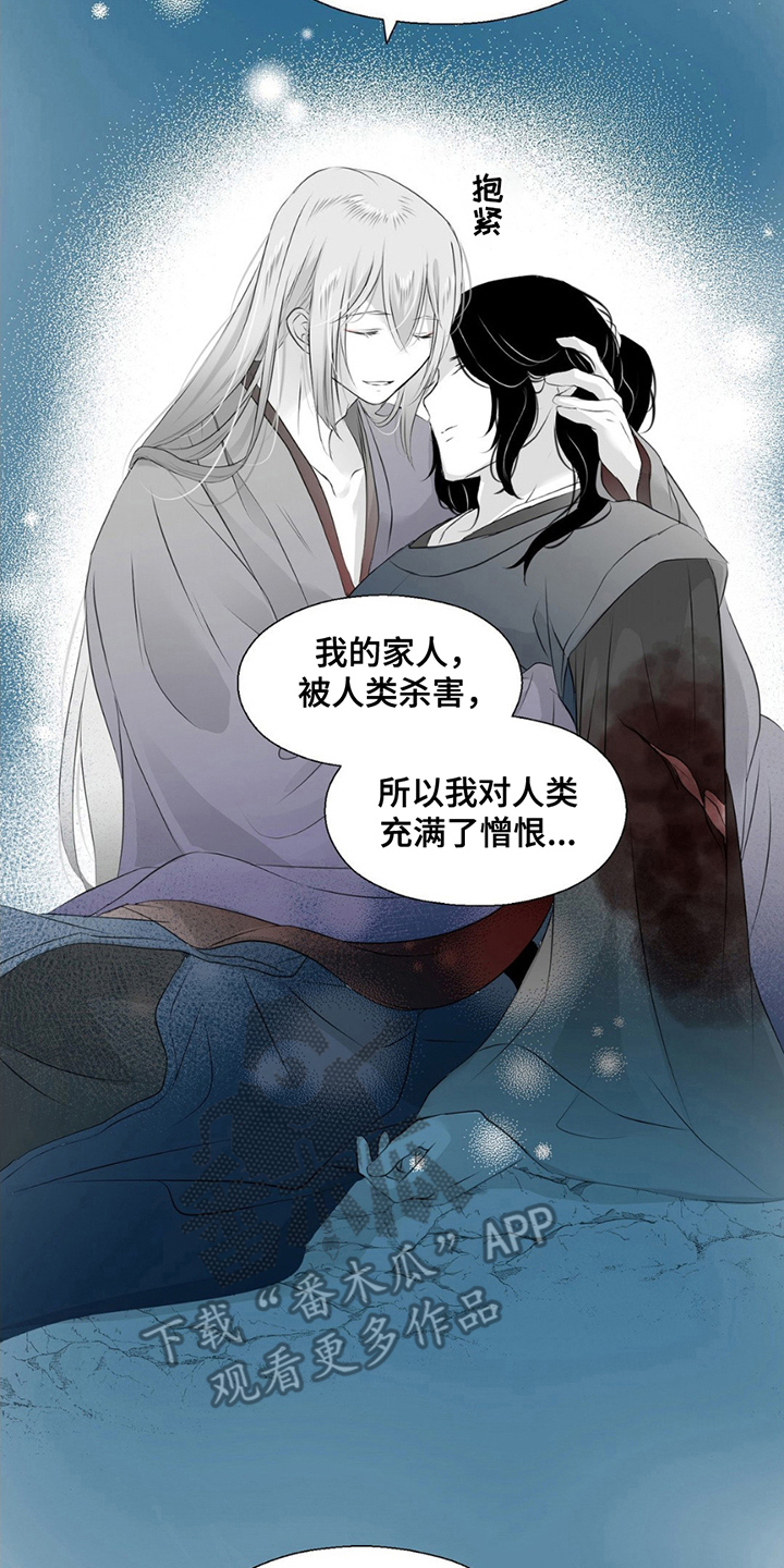 狐狸的春天第二季剧情分集介绍漫画,第20话2图
