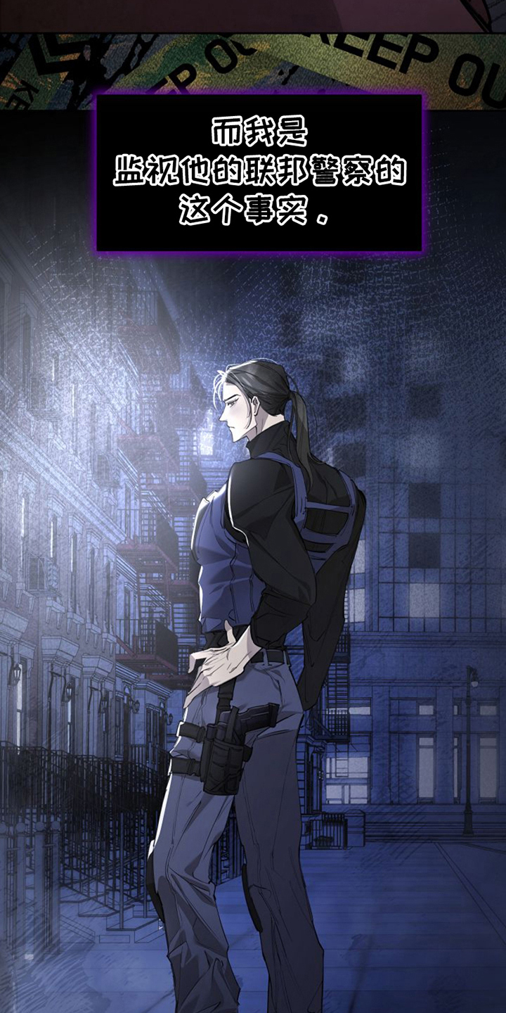 盛装登场结局漫画,第11话3图