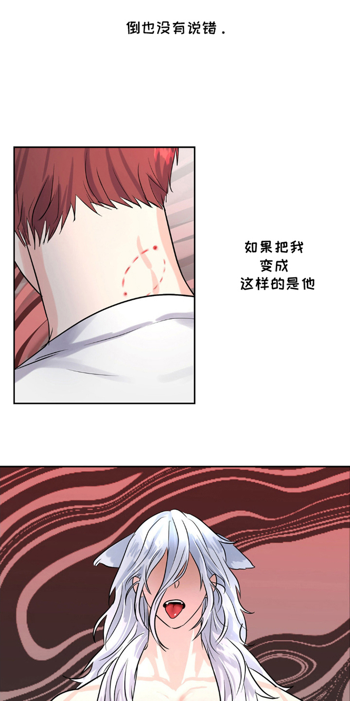 森林狼的阵容分析漫画,第8话5图