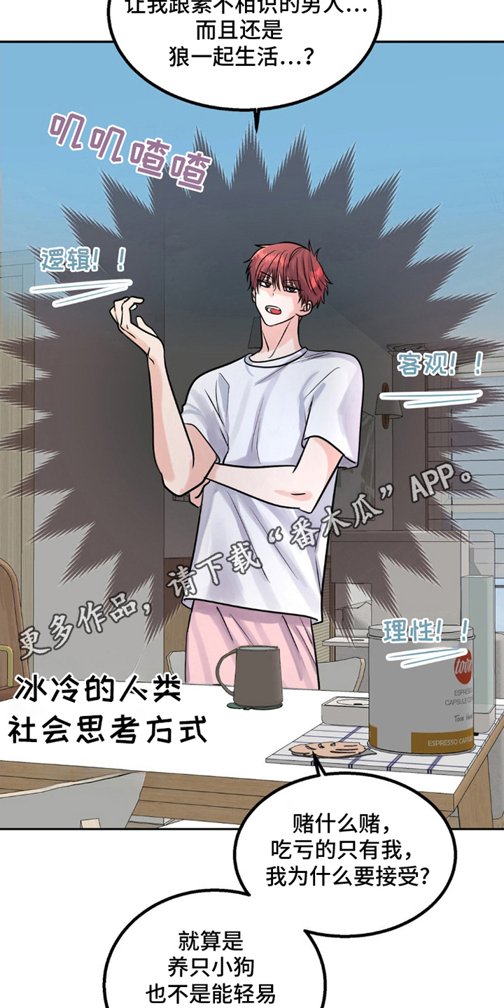 森林狼的阵容分析漫画,第8话2图
