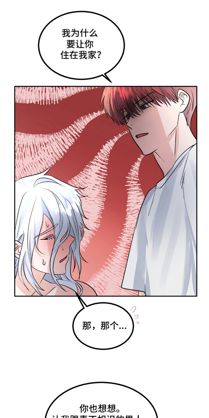 森林狼的阵容分析漫画,第8话1图