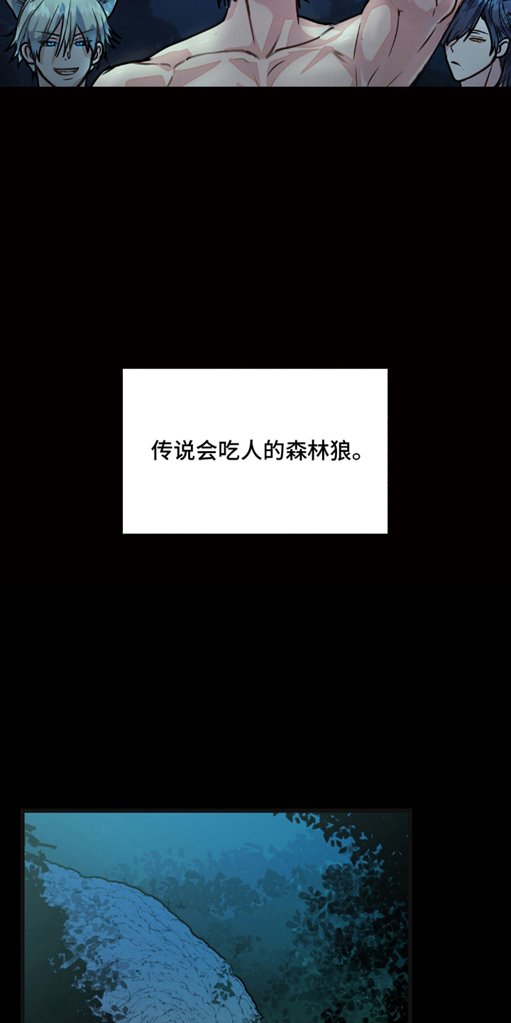 森林狼的死敌是谁漫画,第2话5图