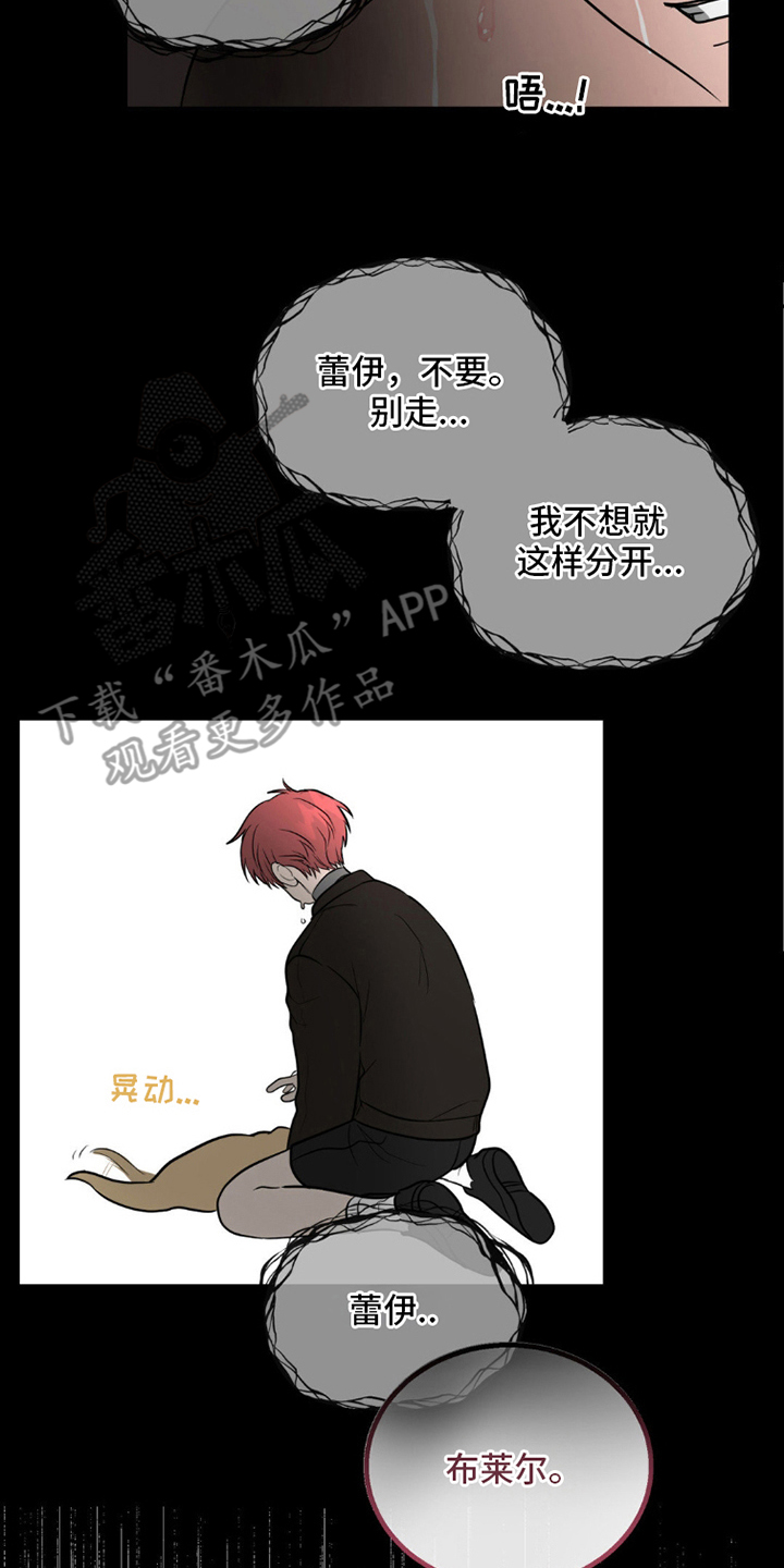 森林狼的排名漫画,第11话4图