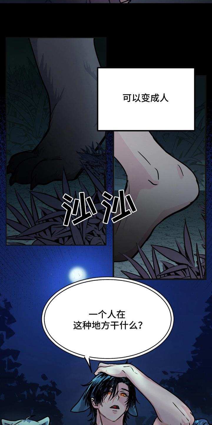 森林狼的死敌是谁漫画,第2话4图