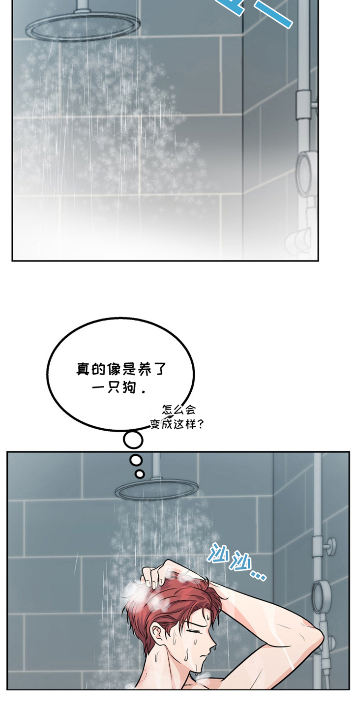 森林狼的身高漫画,第10话3图