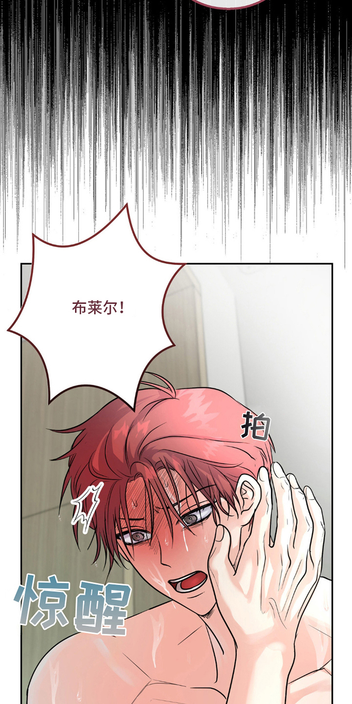 森林狼的排名漫画,第11话5图