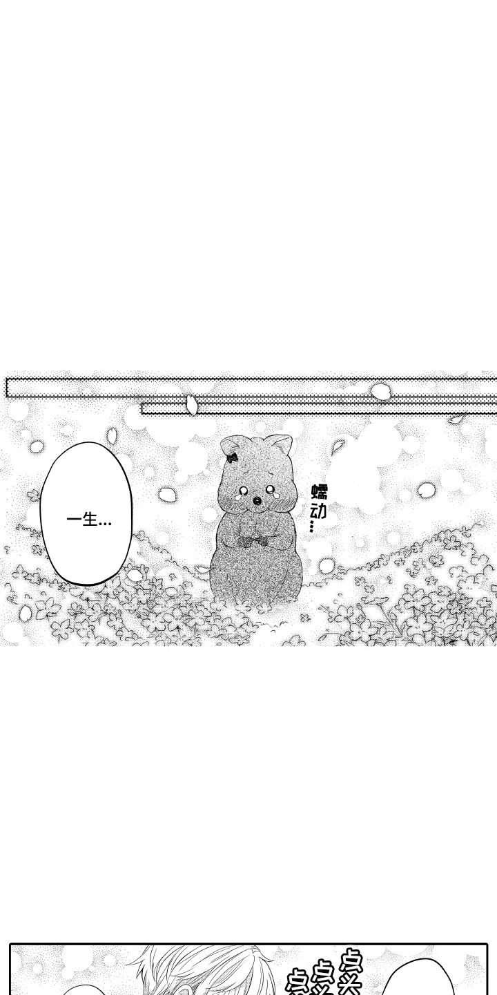 我想成为考拉是什么意思漫画,第22话5图