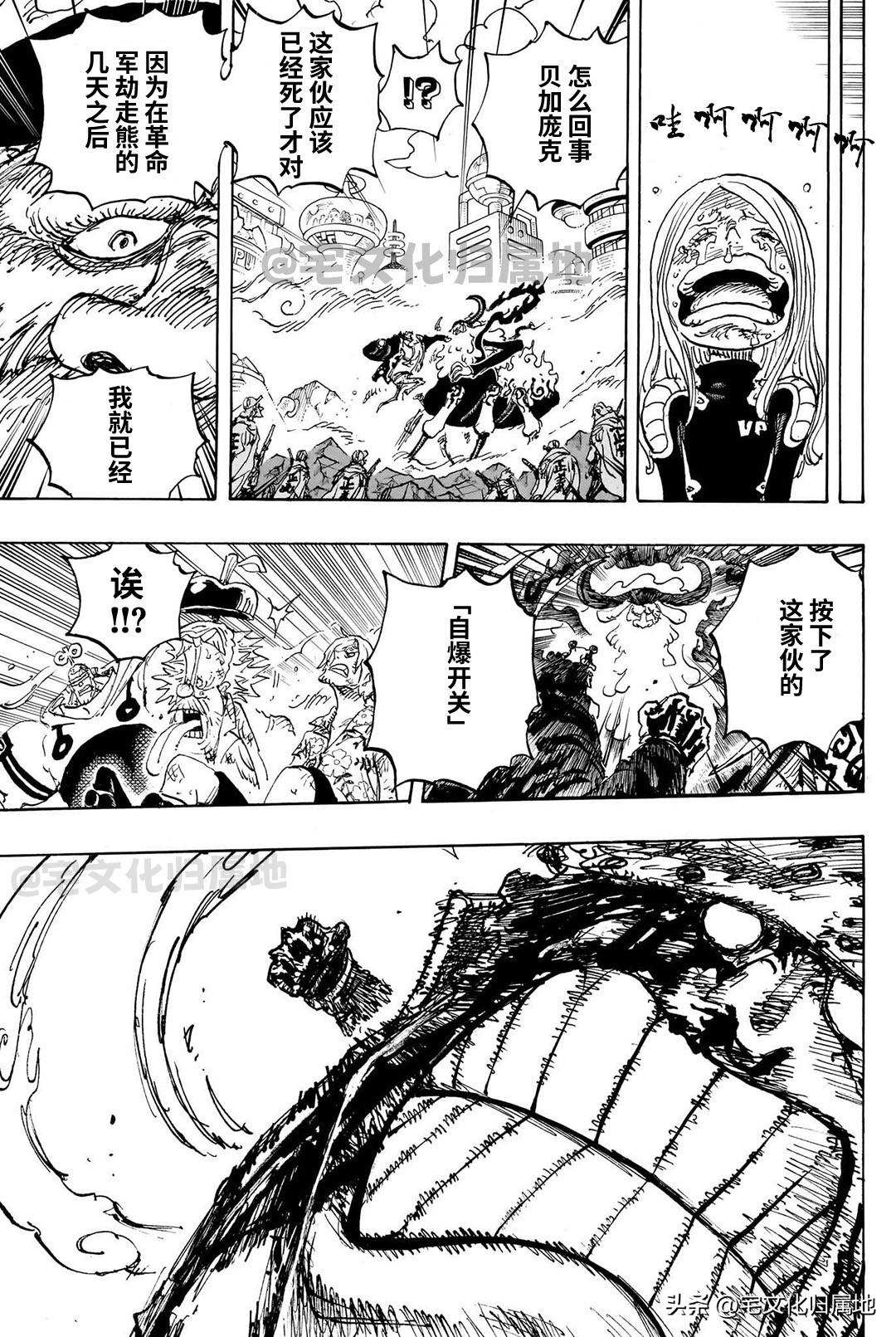 海贼王1126在线观看漫画,第1104话 谢谢你 爸爸3图